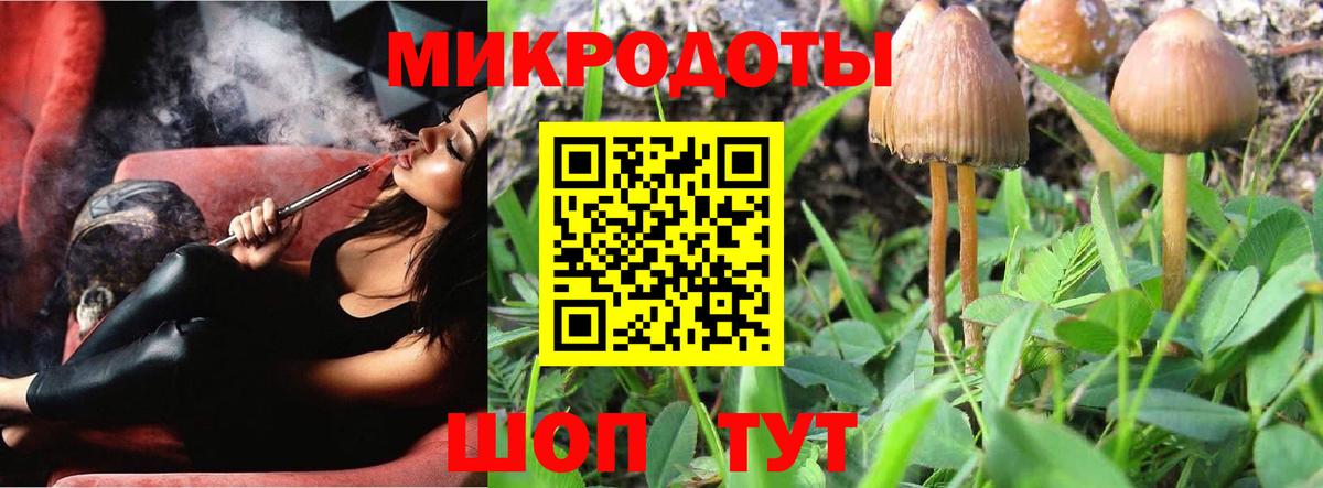 Псилоцибиновые грибы Cubensis Сергиев Посад